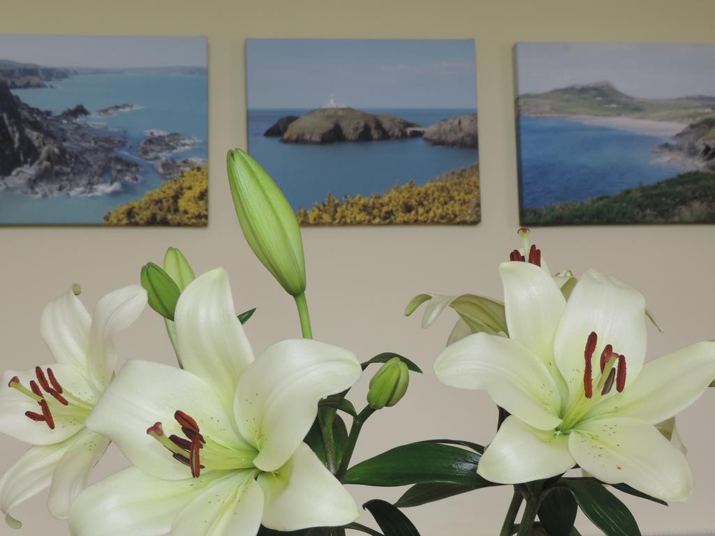 Fern Villa B&B Fishguard Exterior foto