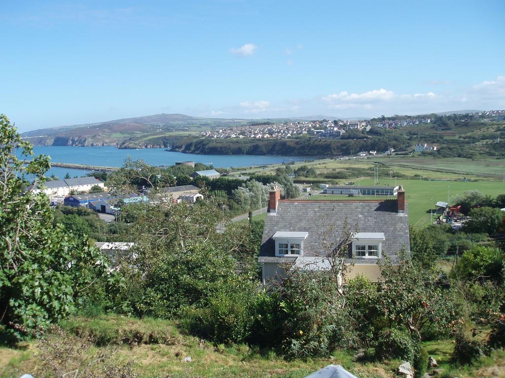 Fern Villa B&B Fishguard Quarto foto